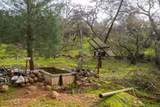 0 Skunk Gulch Road - Photo 11