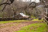 0 Skunk Gulch Road - Photo 25