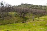 0 Skunk Gulch Road - Photo 42