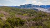0 Skunk Gulch Road - Photo 65