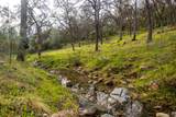 0 Skunk Gulch Road - Photo 9
