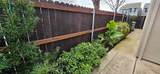 2485 Gooseberry Circle - Photo 37