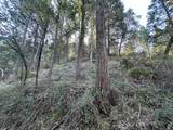 0 Treasure Rock Lane - Photo 6