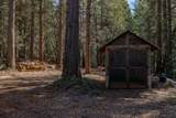 0 Gold Creek Trail - Photo 11