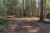0 Gold Creek Trail - Photo 12