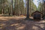0 Gold Creek Trail - Photo 13