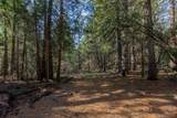 0 Gold Creek Trail - Photo 9