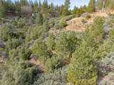 5776 Prospector Lane - Photo 37