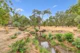 6359 Slippery Creek Lane - Photo 48