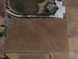 34777 Louise Lane - Photo 2