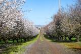0 Horseshoe Road - Photo 21