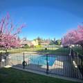 3768 Benjamin Holt Drive - Photo 46
