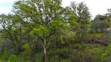8601 Riverview Terrace - Photo 8