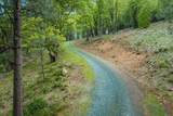 14437 Lightning Tree Road - Photo 49