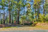 21235 Spring Garden Road - Photo 12