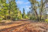 21235 Spring Garden Road - Photo 9