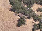 11220 Yellow Dog Trail - Photo 13