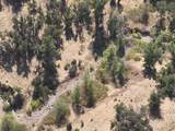 11220 Yellow Dog Trail - Photo 17