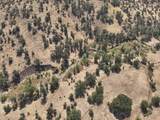 11220 Yellow Dog Trail - Photo 18