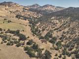 11220 Yellow Dog Trail - Photo 19