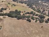 11220 Yellow Dog Trail - Photo 20