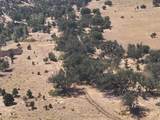 11220 Yellow Dog Trail - Photo 21