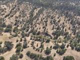 11220 Yellow Dog Trail - Photo 22