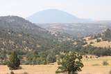11220 Yellow Dog Trail - Photo 4