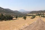 11220 Yellow Dog Trail - Photo 9