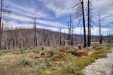 5308 Wooded Glen Road - Photo 16