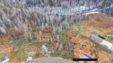5308 Wooded Glen Road - Photo 7
