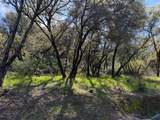 1001 Old Airport Road - Photo 2