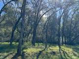 1001 Old Airport Road - Photo 3