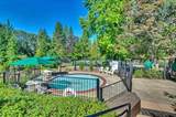 1146 Buckthorn Drive - Photo 15