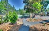 1146 Buckthorn Drive - Photo 18