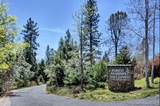 1146 Buckthorn Drive - Photo 19