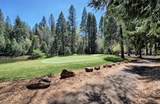 1146 Buckthorn Drive - Photo 20