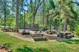 1146 Buckthorn Drive - Photo 25