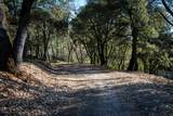 0 Buck Ridge Court - Photo 6