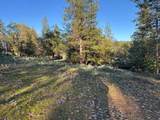 4110 Pine Mountain Road - Photo 4