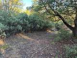 4110 Pine Mountain Road - Photo 7