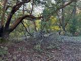 4110 Pine Mountain Road - Photo 8