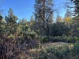 4110 Pine Mountain Road - Photo 9