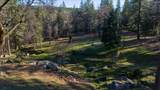 5351 Cosumnes Mine Road - Photo 59