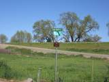2390 San Marco Street - Photo 45