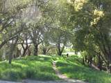2390 San Marco Street - Photo 47