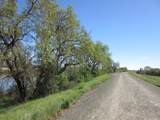 2390 San Marco Street - Photo 49