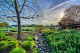 4835 Val Verde Road - Photo 39