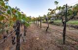 22801 Hidden Ranch Road - Photo 78