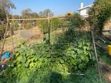 22801 Hidden Ranch Road - Photo 79